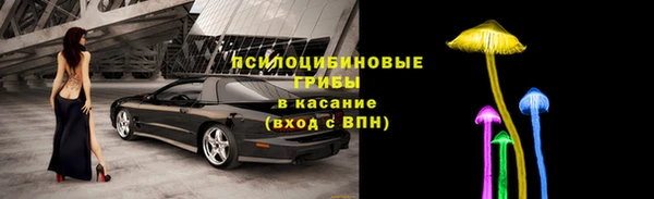 гидропоника Вязьма