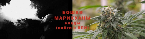 мдпв Вяземский