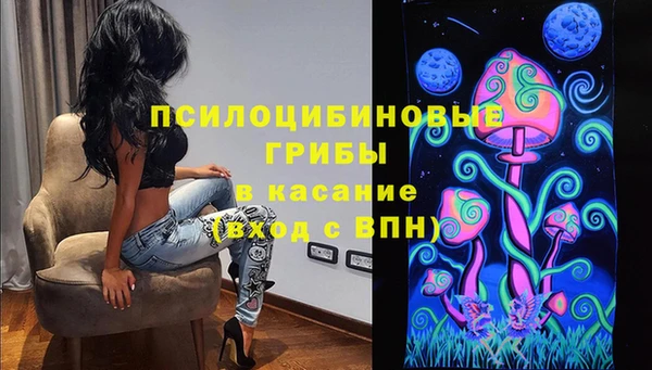 мдпв Вяземский