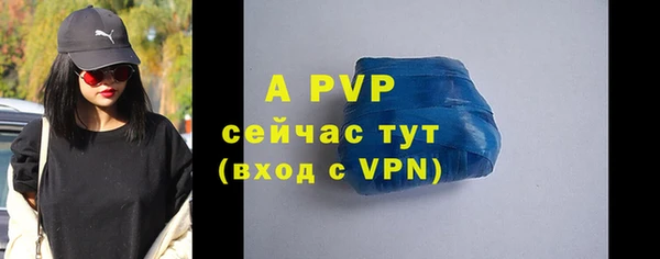 мдпв Вяземский