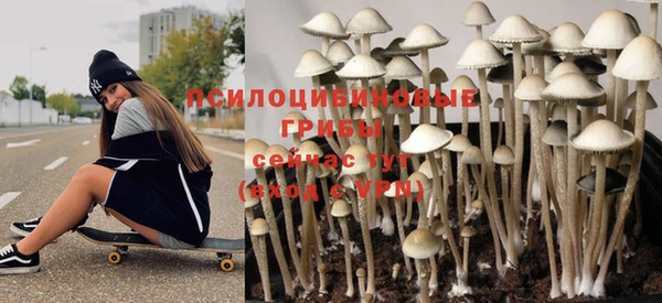 мдпв Вяземский