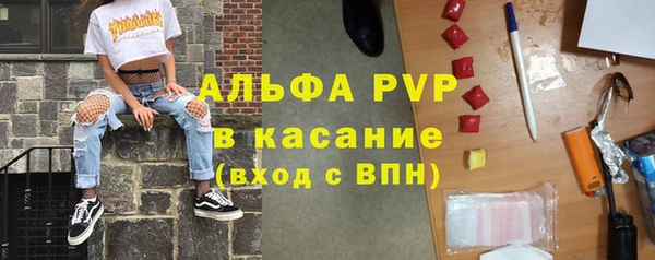 мдпв Вяземский