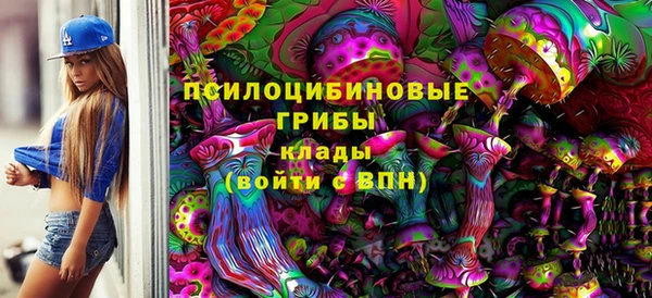 гидропоника Вязьма