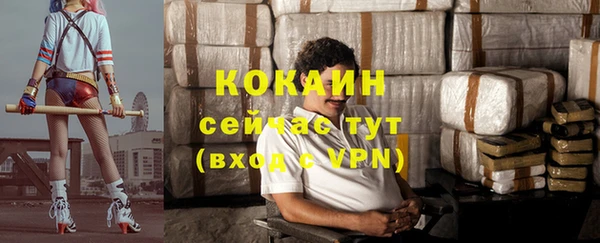 мдпв Вяземский