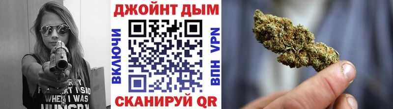 Бошки марихуана сатива  гидра   Курлово 